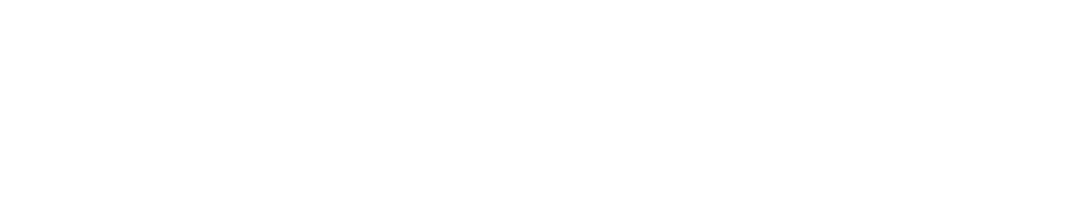 Delkin Devices